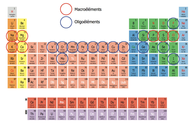 De nombreux éléments du tableau périodique sont présents dans la formule de Cellfood